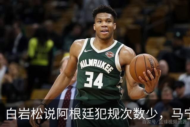 白岩松说阿根廷犯规次数少，马宁：我们看的是性质而非数量